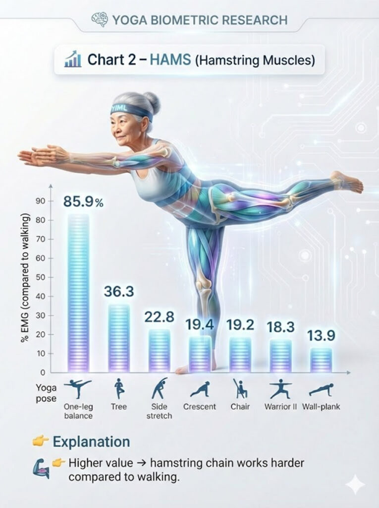 Bar chart of hamstring (HAMS) muscle activation (EMG) across 7 yoga poses for seniors, with one-leg balance showing peak recruitment at 85.9% compared to walking.