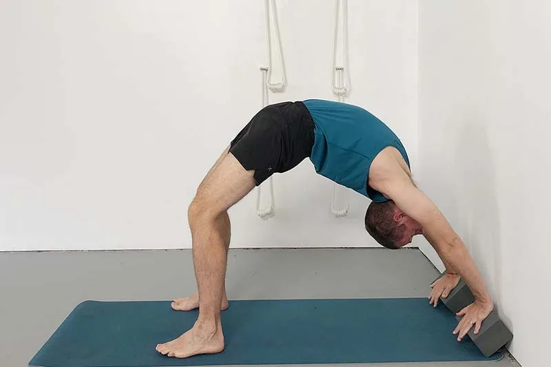 các biến thể của tư thế bánh xe