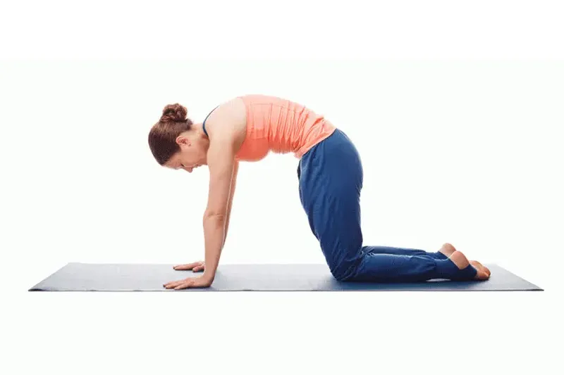 Marjaryasana–Bitilasana