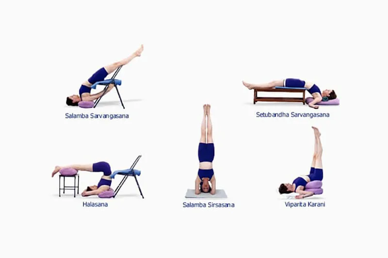 Hướng dẫn thực hành Iyengar Yoga cơ bản