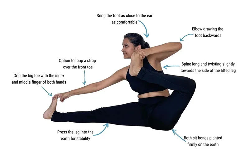 cơ chế chuyển động của Tư thế Bắn Cung
