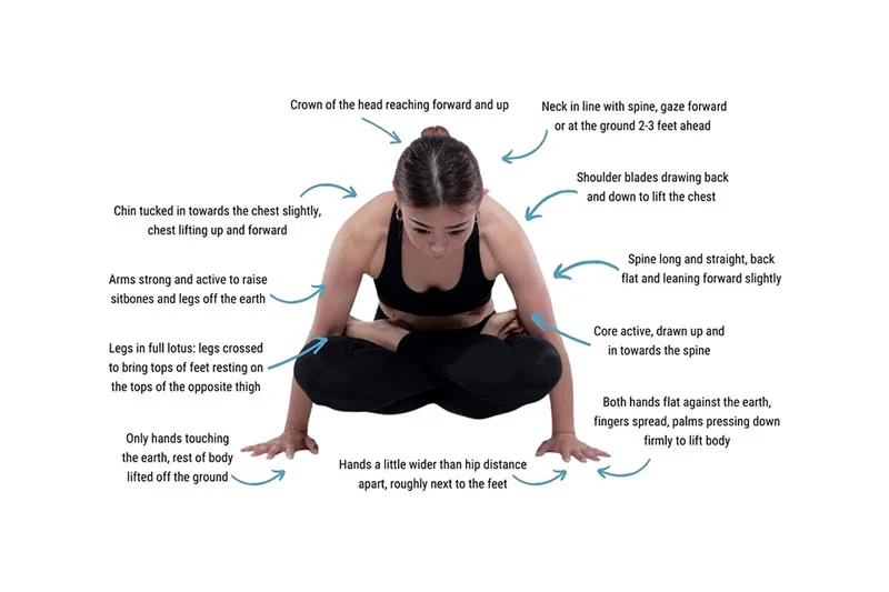 cơ chế chuyển động của Tư thế Cái Cân