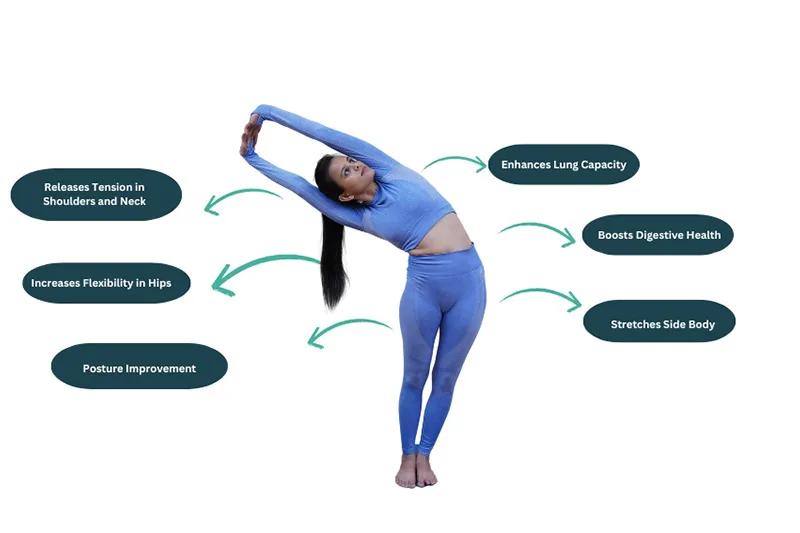 cơ chế chuyển động của Tư thế Cây cọ nghiêng