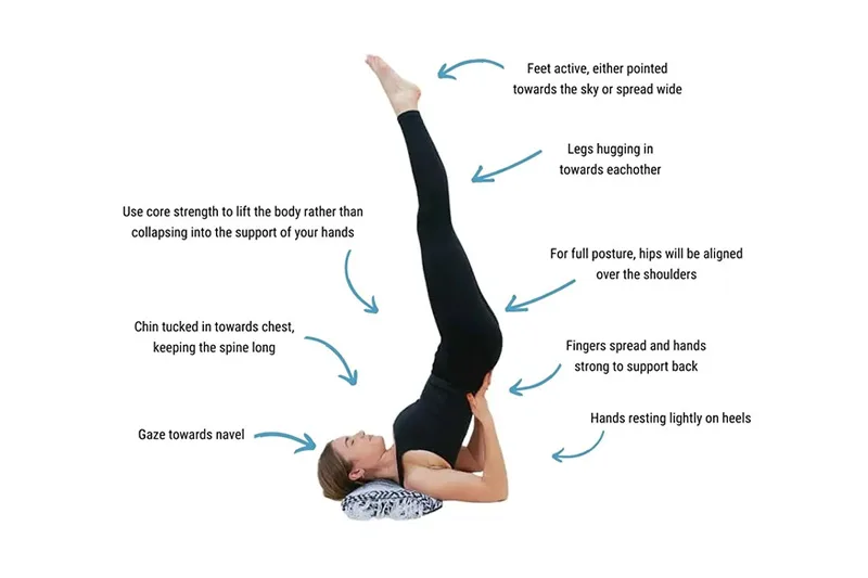Phân tích các cơ chế chuyển động của Tư thế Cây Nến