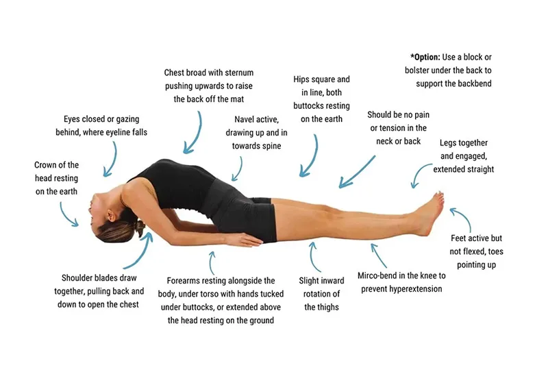 Phân tích các cơ chế chuyển động của tư thế con cá