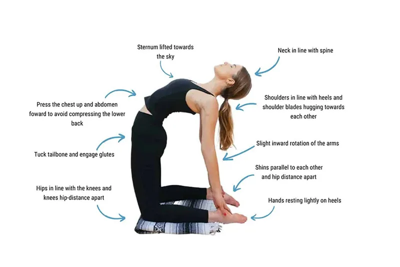Kỹ thuật & Phương pháp thực hành hatha yoga