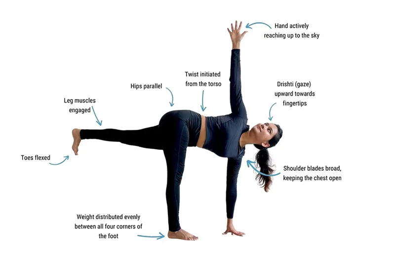 Phân tích các cơ chế chuyển động của Tư thế Nửa Vầng Trăng