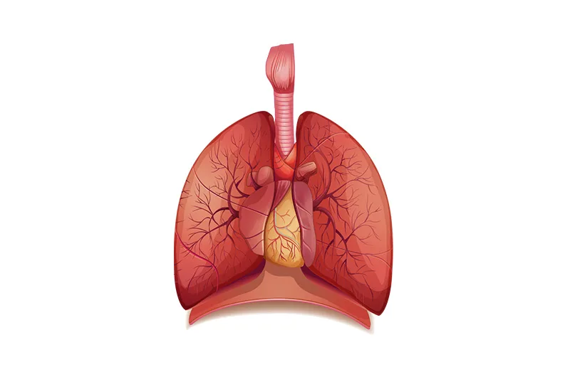 Tác động của Bhramari pranayama và niệm OM lên chức năng phổi ở người khỏe mạnh