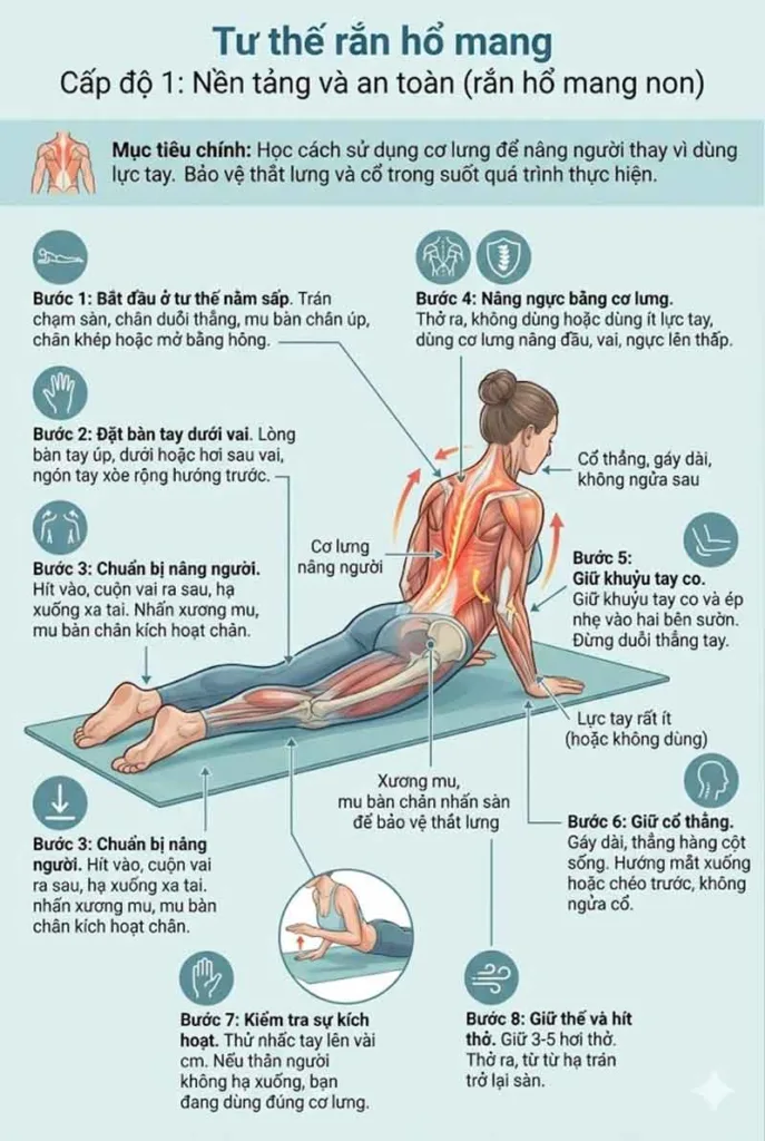 hướng dẫn tư thế rắn hổ mang cho người mới