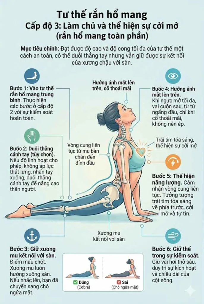 hướng dẫn thực hành tư thế rắn hổ mang toàn phần