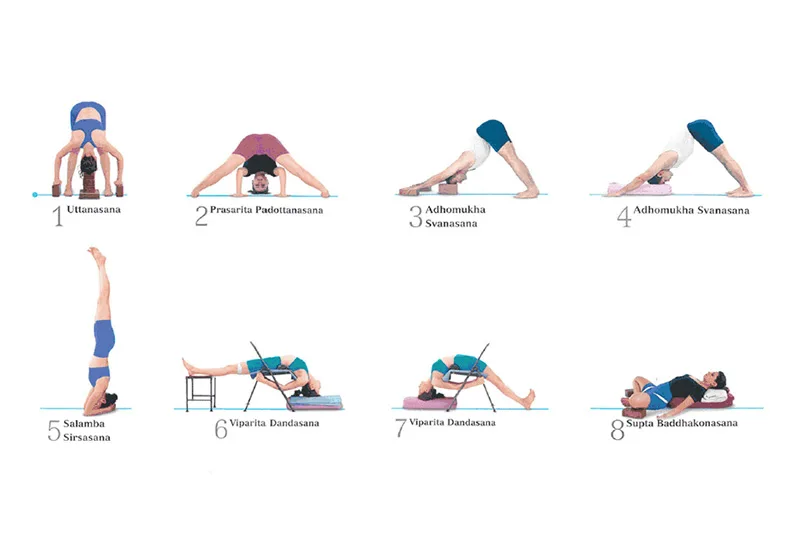 Ảnh hưởng của hatha yoga pradipika đến các dòng yoga hiện đại 