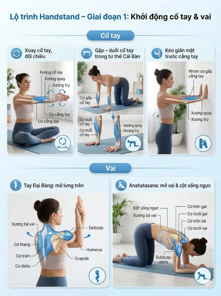 Lộ trình chinh phục các tư thế Handstand trong Yoga giai đoạn 1