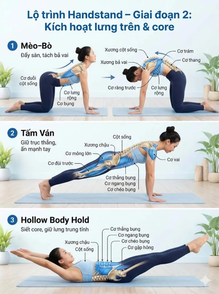 Lộ trình chinh phục các tư thế Handstand trong Yoga giai đoạn 2
