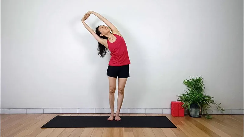 Tư thế cây cọ nghiêng