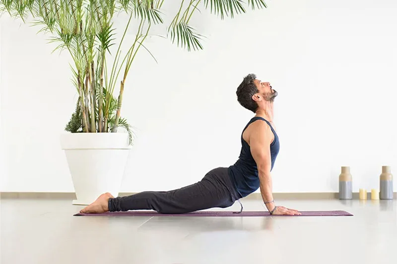 Urdhva Mukha Svanasana