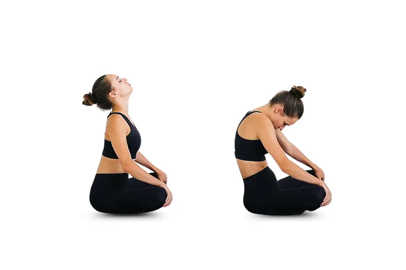 Chuyển động Cột sống Ngồi (Seated Cat-Cow)