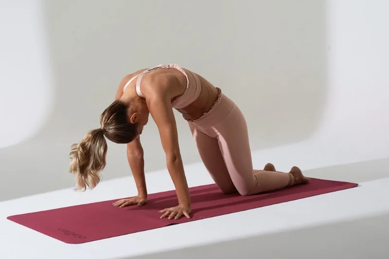 Iyengar yoga và Vinyasa yoga: Sự chính xác và sự trôi chảy
