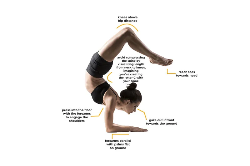 Vrschikasana