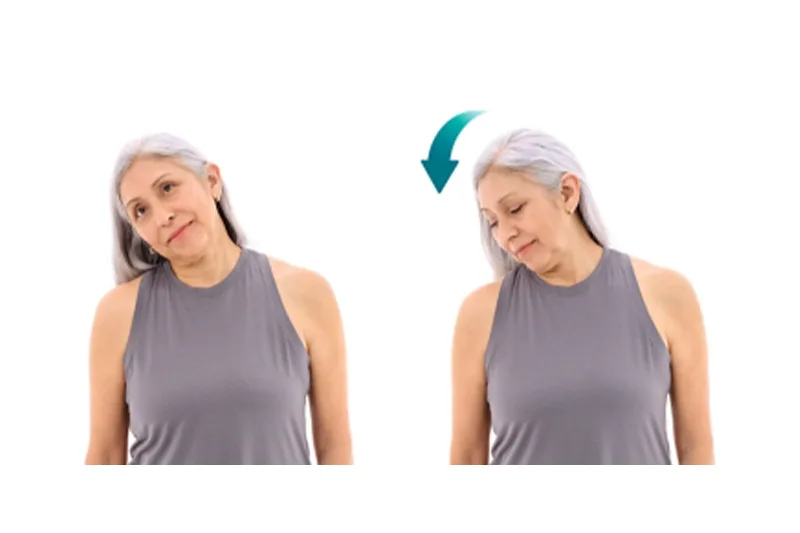 Gentle Seated Neck Tilt)