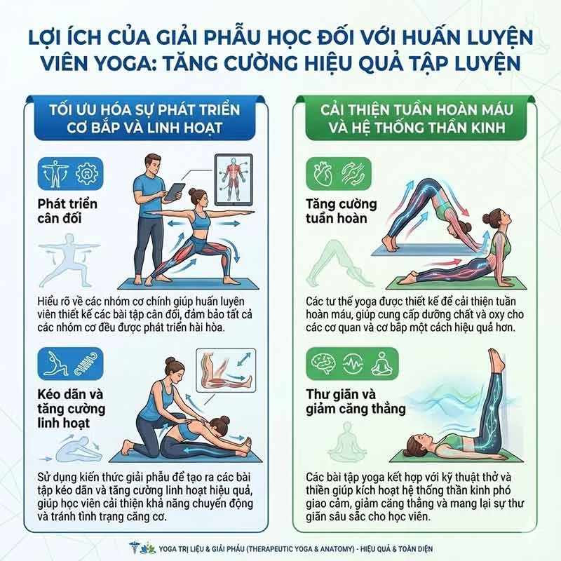 hiểu về giải phẫu sẽ giúp hlv yoga giúp học viên tăng cường hiệu quả tập luyện