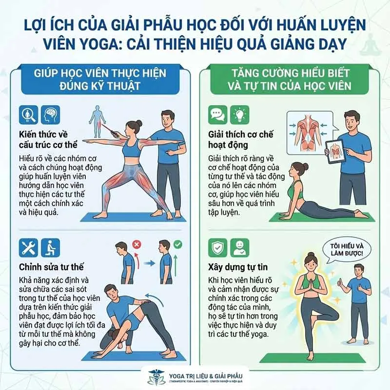 hiểu về giải phẫu sẽ giúp hlv yoga tăng cường hiệu quả giảng dạy