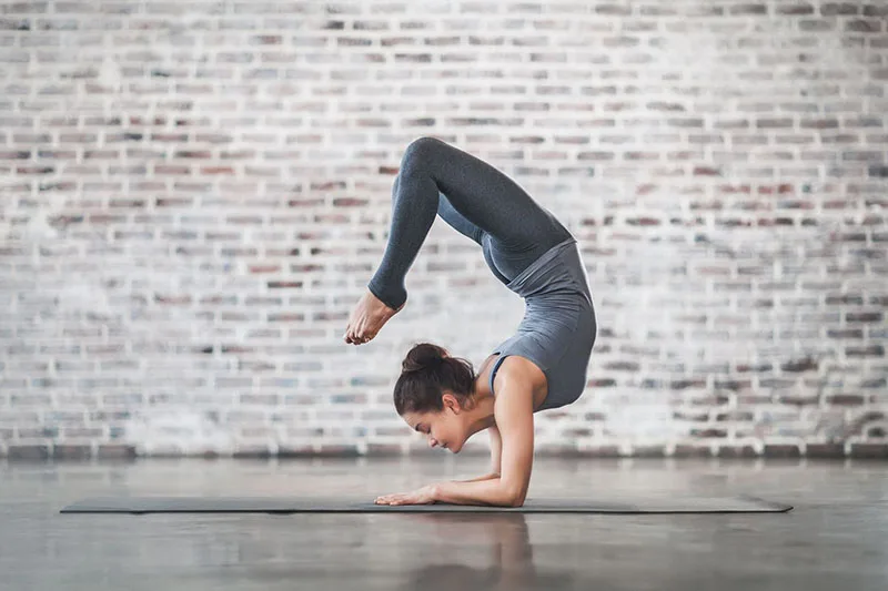 Phân tích quan điểm chinh phục trong Asana