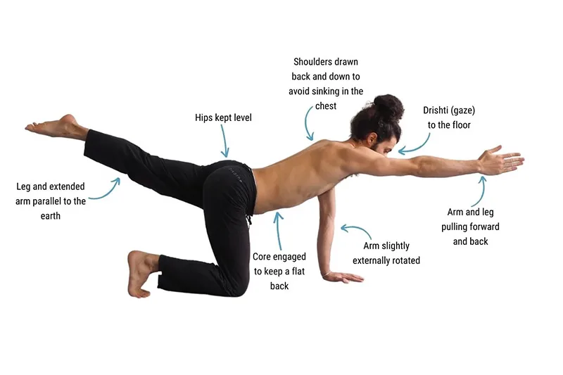 yoga cho người đau lưng mạn tính