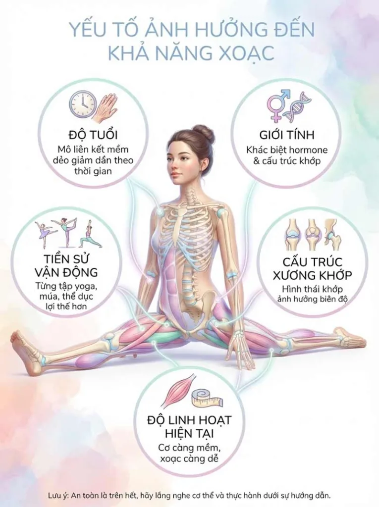 Các yếu tố ảnh hưởng đến khả năng xoạc ngang, xoạc dọc của mỗi cá nhân