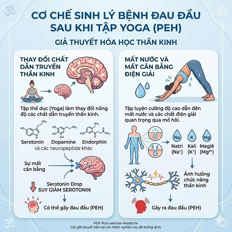 mất nước và điện giải là nguyên nhân gây đau đầu sau khi tập yoga