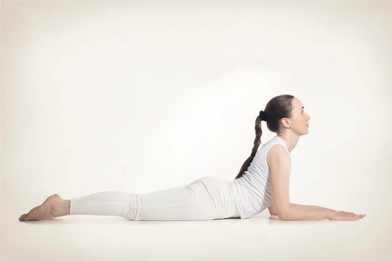 Sphinx & Baby Cobra Pose