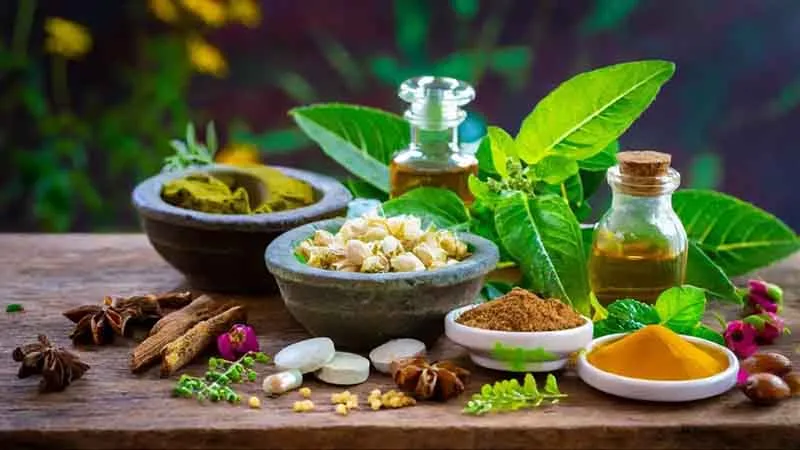 thực phẩm ayurveda