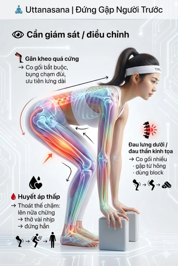 những ai cần lưu ý khi tập tư thế Đứng gập người về phía trước uttanasana