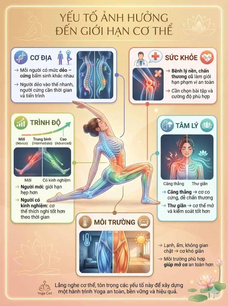 Yếu tố ảnh hưởng đến giới hạn cơ thể khi tập yoga