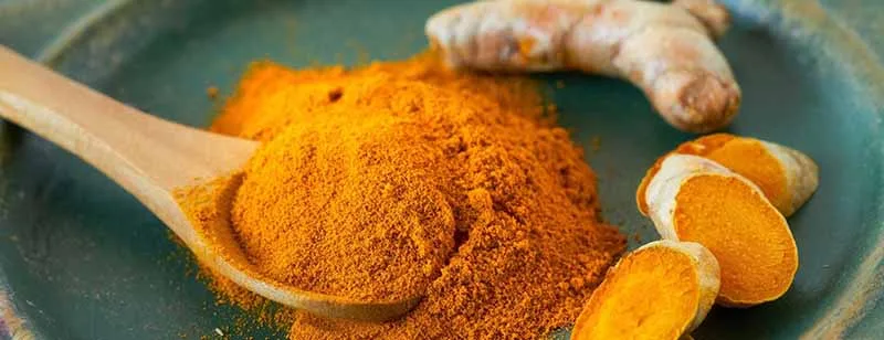 Turmeric (Curcuma longa - Nghệ)