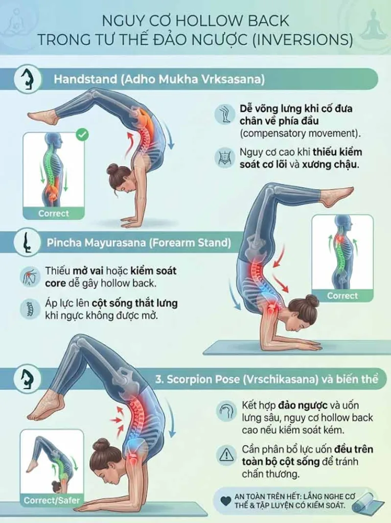 Các tư thế phổ biến thường xuất hiện biến thể Hollow Back