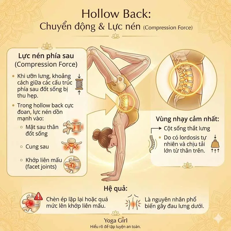 sự nguy hiểm của việc nén đốt sống quá mức trong hollow back