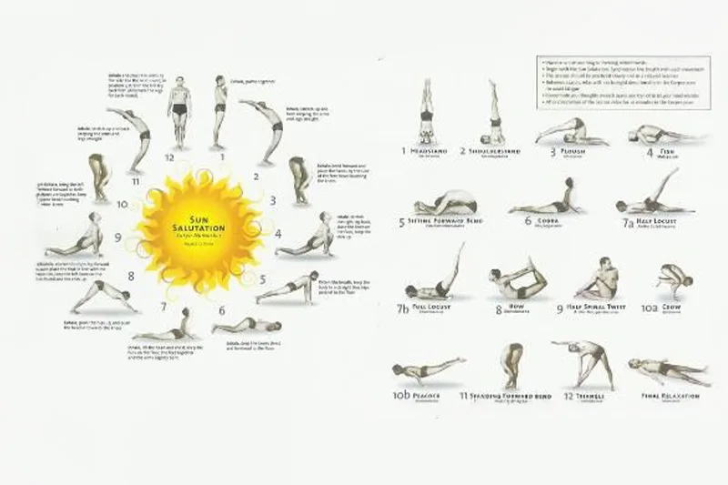 chuỗi tư thế trong sivananda yoga