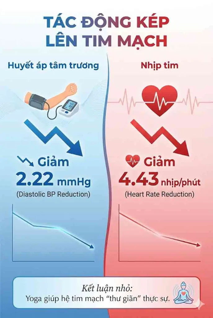 tác động giảm huyết áp của yoga và tim mạch