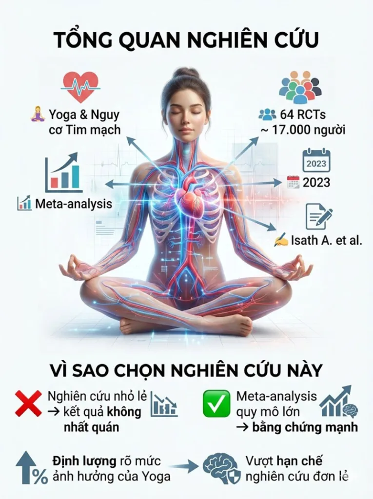 Nghiên cứu: Tác động của Yoga lên các yếu tố nguy cơ Bệnh Tim mạch: Một Phân tích Tổng hợp