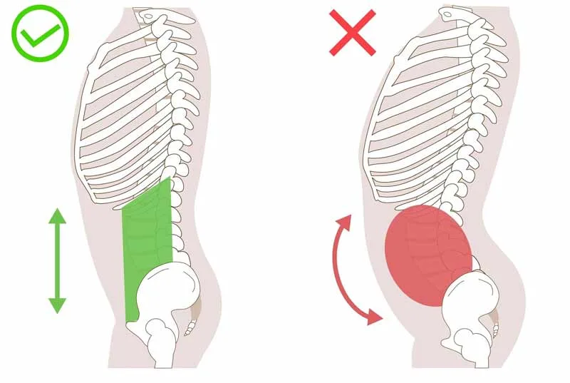 Nghiêng chậu (Pelvic Tilt): Tác động của Anterior/Posterior Tilt lên thắt lưng