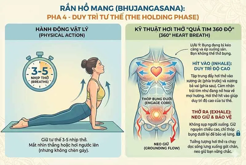 cách duy trì hơi thở trong tư thế rắn hổ mang