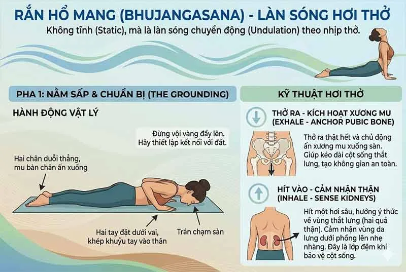 Cách hít thở đúng trong tư thế Rắn Hổ Mang