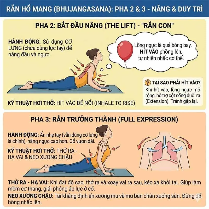 các kỹ thuật hít thở đúng trong tư thế rắn hổ mang