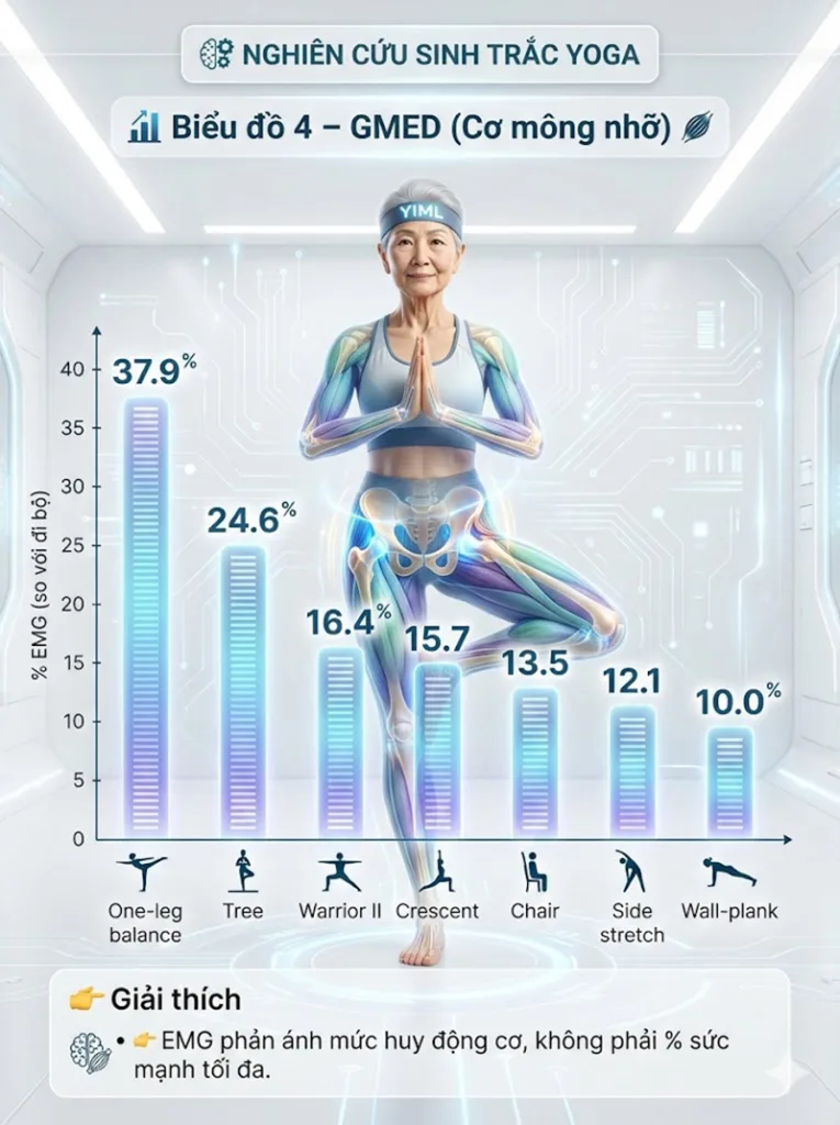 Biểu đồ EMG Tổng hợp Kích hoạt Cơ mông nhỡ trong các tư thế đứng