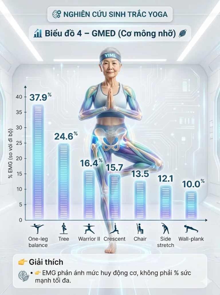 [P85] Nghiên cứu: Yêu cầu sinh trắc học của các tư thế Yoga đứng ở người cao tuổi