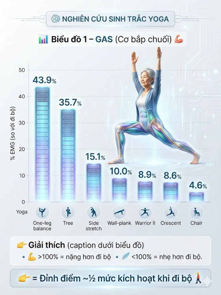 Biểu đồ EMG Tổng hợp Kích hoạt Cơ bắp chuối trong các tư thế đứng