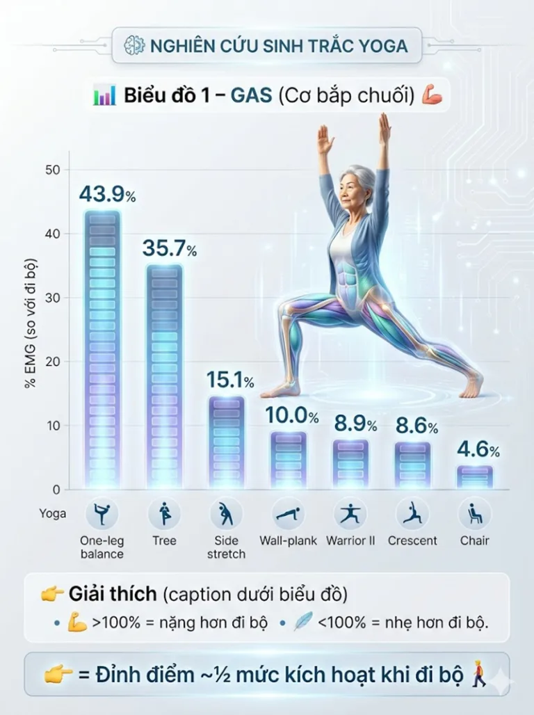 [P85] Nghiên cứu: Yêu cầu sinh trắc học của các tư thế Yoga đứng ở người cao tuổi