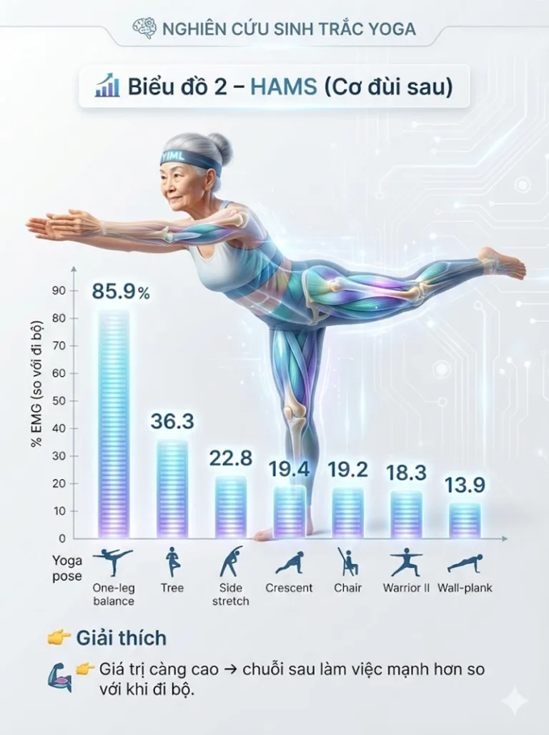 [P85] Nghiên cứu: Yêu cầu sinh trắc học của các tư thế Yoga đứng ở người cao tuổi