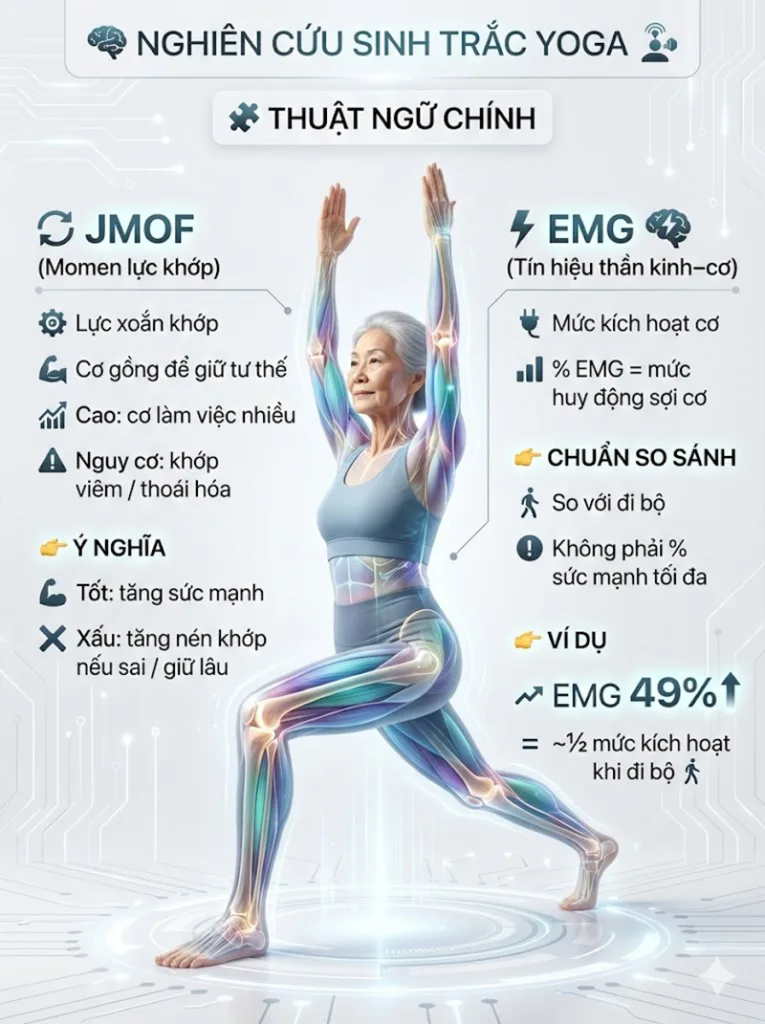 Giải mã thuật ngữ: JMOF và EMG là gì?
