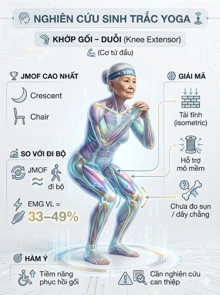 Tư thế cái ghế và trăng lưỡi liềm có tiềm năng ứng dụng trong phục hồi chức năng gối